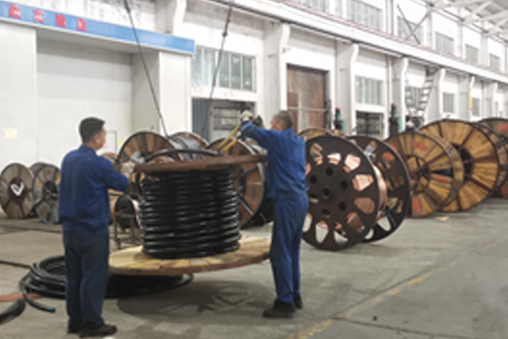 保進(jìn)度 鴿牌 公司2.jpg 保進(jìn)度 鴿牌 公司2.jpg